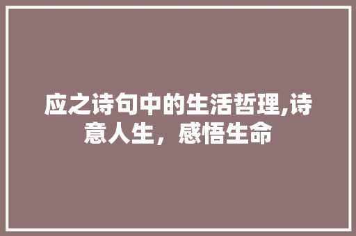 应之诗句中的生活哲理,诗意人生，感悟生命
