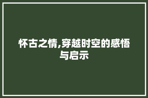 怀古之情,穿越时空的感悟与启示