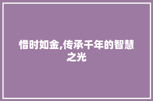 惜时如金,传承千年的智慧之光