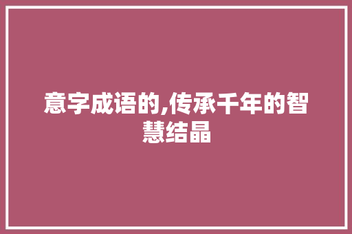 意字成语的,传承千年的智慧结晶