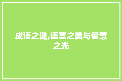成语之谜,语言之美与智慧之光