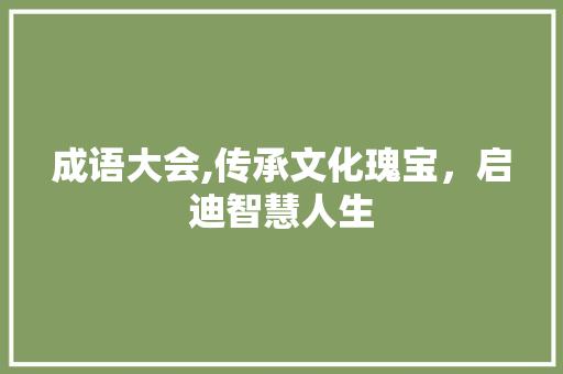 成语大会,传承文化瑰宝，启迪智慧人生