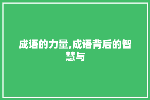 成语的力量,成语背后的智慧与