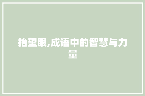 抬望眼,成语中的智慧与力量