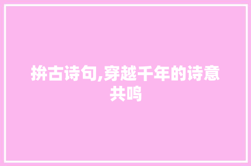拚古诗句,穿越千年的诗意共鸣