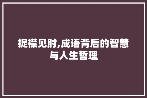 捉襟见肘,成语背后的智慧与人生哲理
