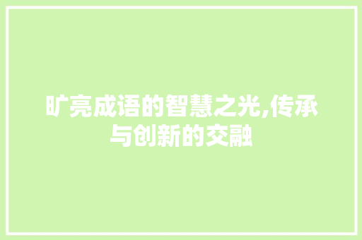 旷亮成语的智慧之光,传承与创新的交融