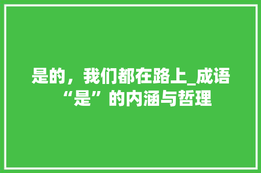 是的，我们都在路上_成语“是”的内涵与哲理 诗词体裁
