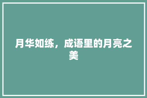 月华如练，成语里的月亮之美