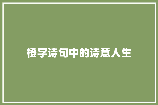 橙字诗句中的诗意人生