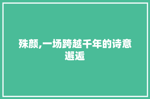 殊颜,一场跨越千年的诗意邂逅