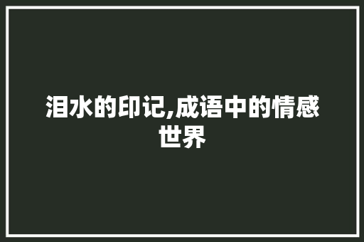 泪水的印记,成语中的情感世界