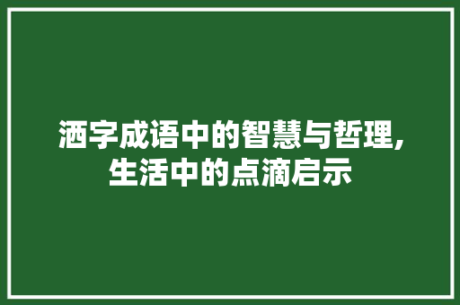 洒字成语中的智慧与哲理,生活中的点滴启示