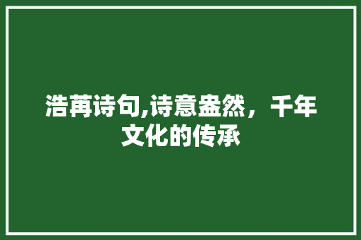 浩苒诗句,诗意盎然，千年文化的传承