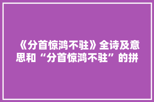 《分首惊鸿不驻》全诗及意思和“分首惊鸿不驻”的拼音注释