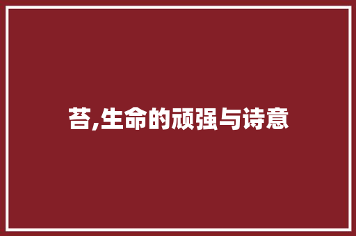 苔,生命的顽强与诗意