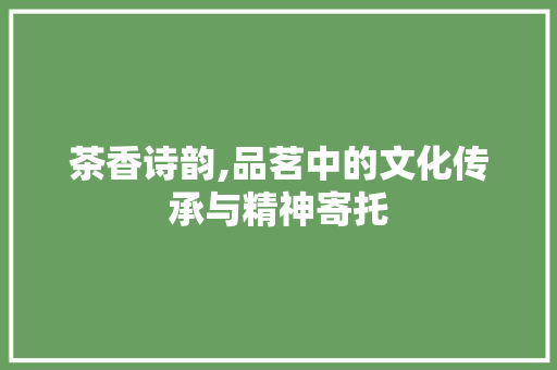 茶香诗韵,品茗中的文化传承与精神寄托