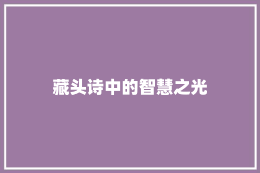 藏头诗中的智慧之光
