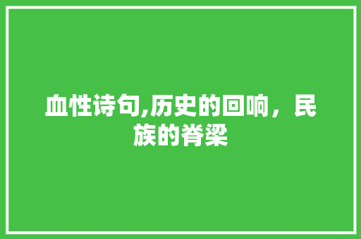 血性诗句,历史的回响，民族的脊梁