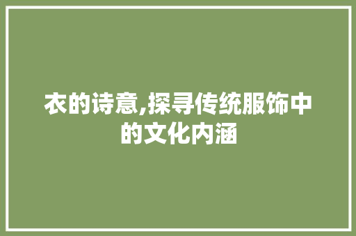 衣的诗意,探寻传统服饰中的文化内涵