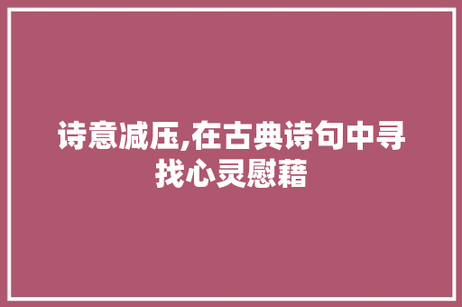 诗意减压,在古典诗句中寻找心灵慰藉