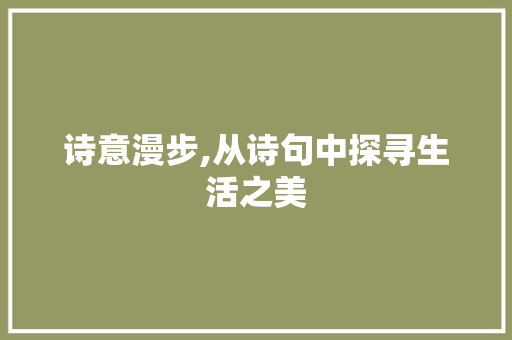 诗意漫步,从诗句中探寻生活之美