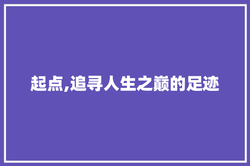 起点,追寻人生之巅的足迹