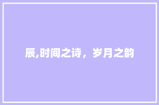 辰,时间之诗，岁月之韵