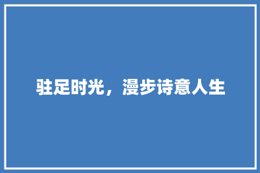 驻足时光，漫步诗意人生
