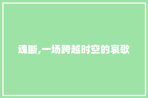 魂断,一场跨越时空的哀歌