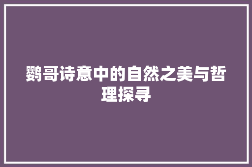 鹦哥诗意中的自然之美与哲理探寻