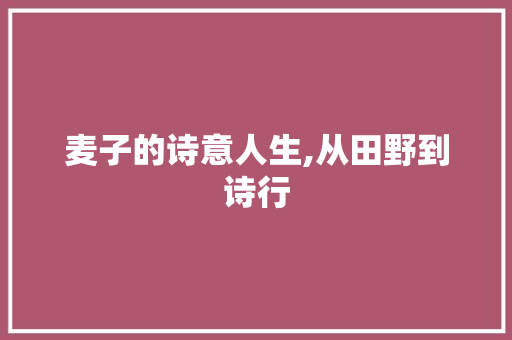 麦子的诗意人生,从田野到诗行