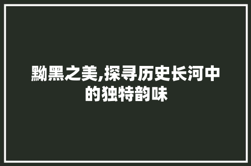黝黑之美,探寻历史长河中的独特韵味