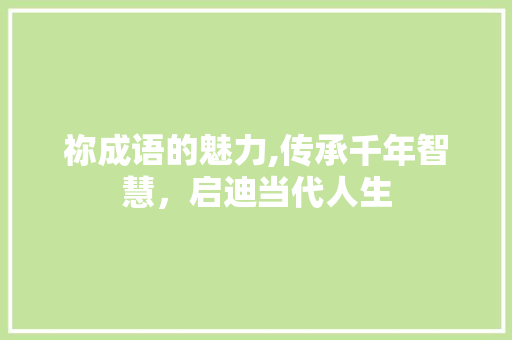 祢成语的魅力,传承千年智慧，启迪当代人生