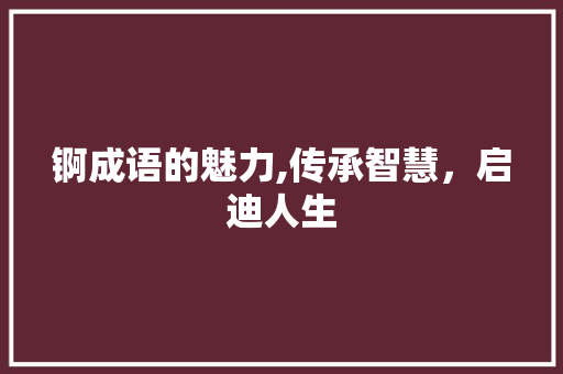 锕成语的魅力,传承智慧，启迪人生