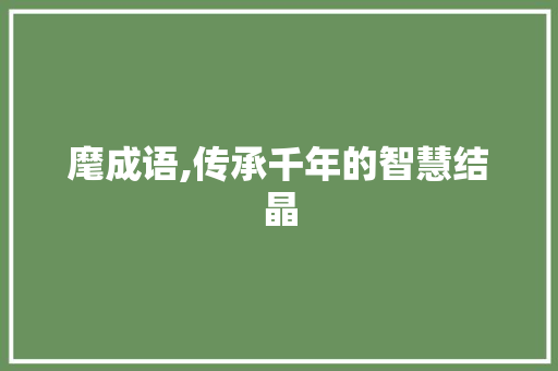 麾成语,传承千年的智慧结晶