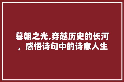 暮朝之光,穿越历史的长河，感悟诗句中的诗意人生