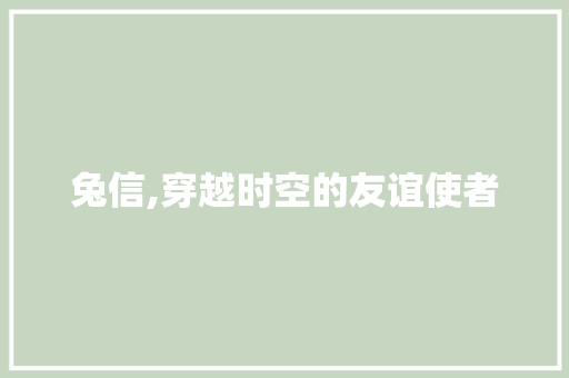 兔信,穿越时空的友谊使者