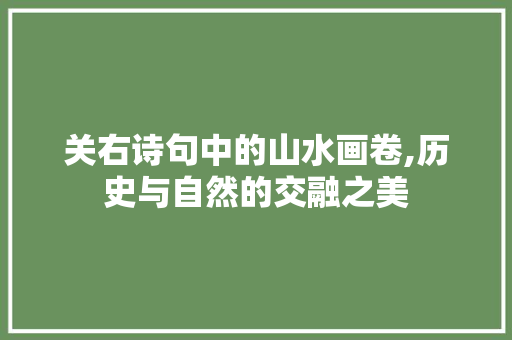 关右诗句中的山水画卷,历史与自然的交融之美