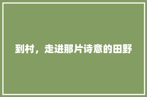 到村，走进那片诗意的田野