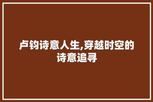 卢钧诗意人生,穿越时空的诗意追寻