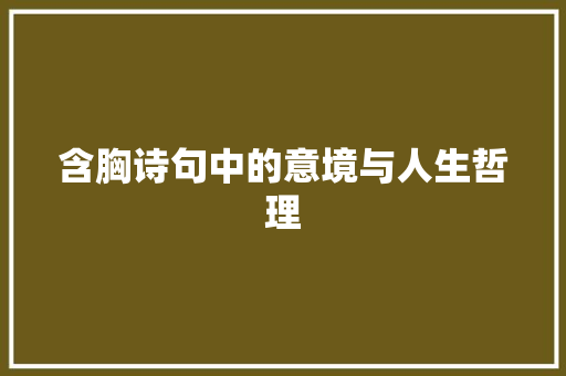 含胸诗句中的意境与人生哲理