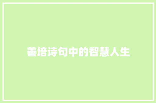 善培诗句中的智慧人生