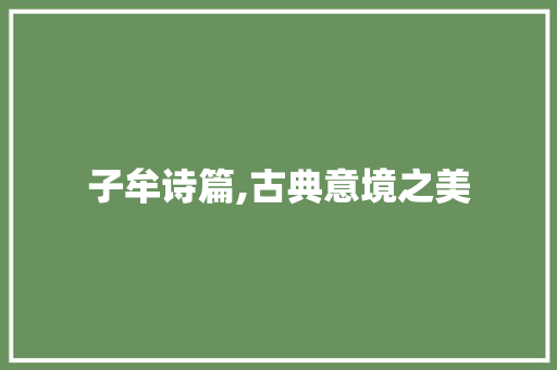 子牟诗篇,古典意境之美