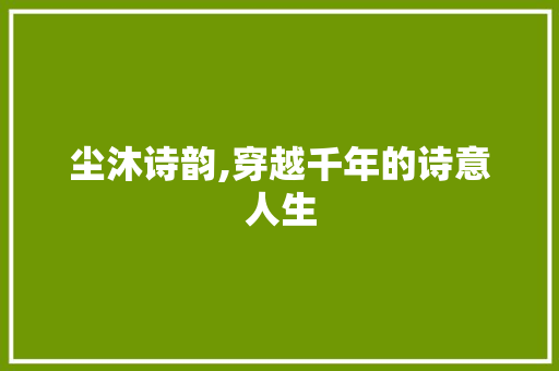 尘沐诗韵,穿越千年的诗意人生