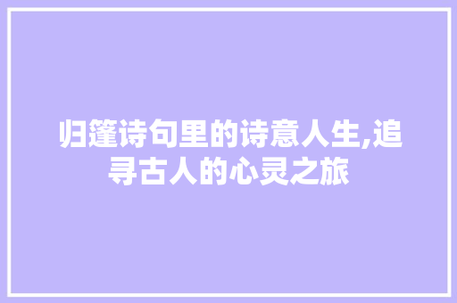归篷诗句里的诗意人生,追寻古人的心灵之旅