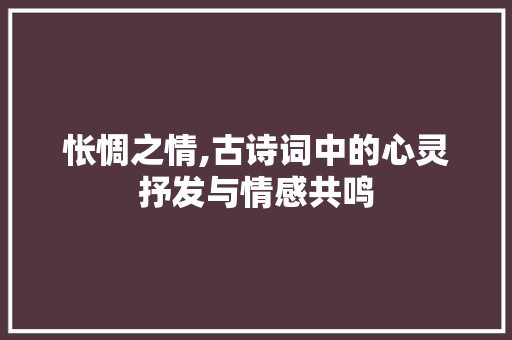 怅惆之情,古诗词中的心灵抒发与情感共鸣