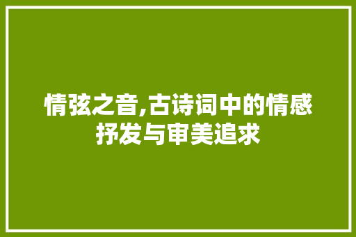 情弦之音,古诗词中的情感抒发与审美追求