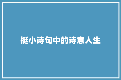 挺小诗句中的诗意人生