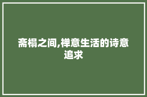 斋榻之间,禅意生活的诗意追求